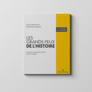 Les grands feux de l&rsquo;histoire